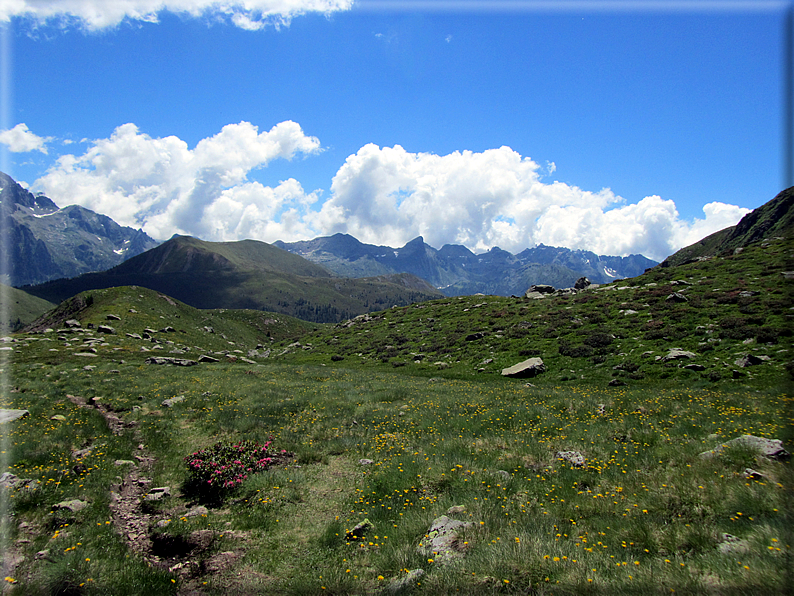 foto Forcella di Valsorda